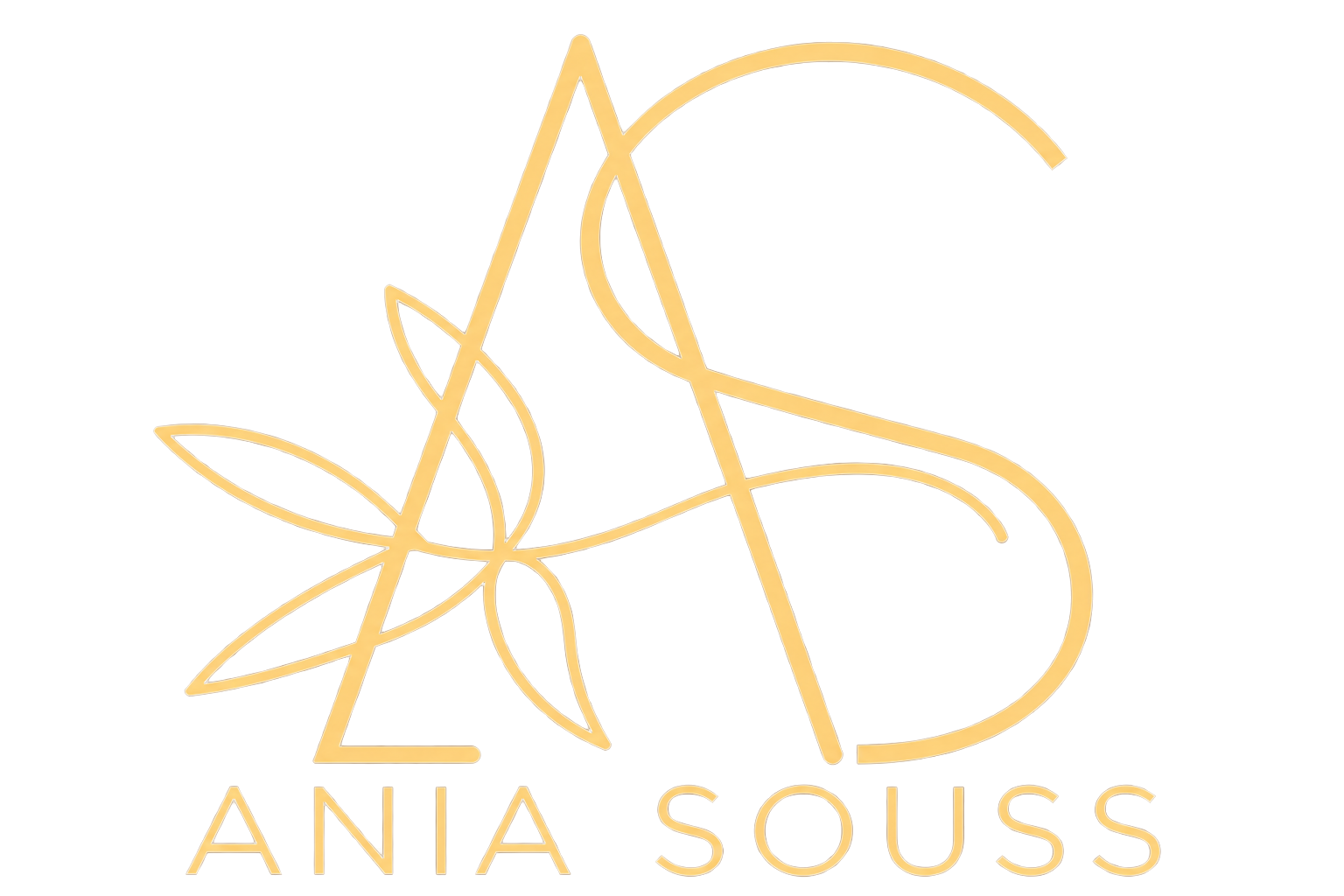 Identité Ania Souss